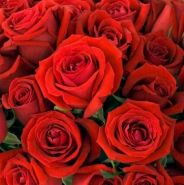 consegna a domicilio di un bouquet di rose rosse