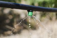 irrigazione a goccia